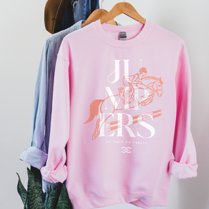 Jumpers | Light Pink | Sweatshirt