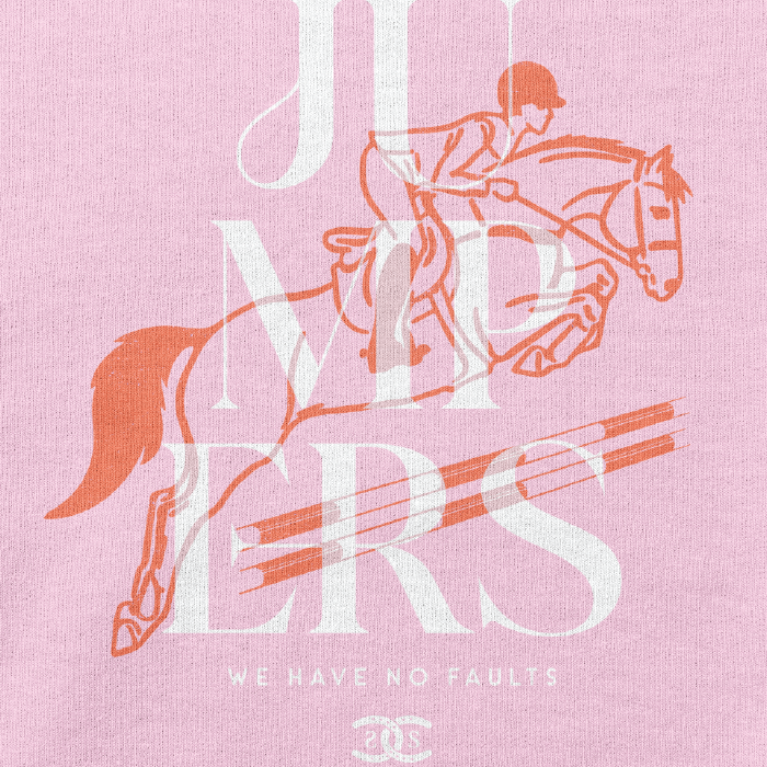 Jumpers | Light Pink | Sweatshirt