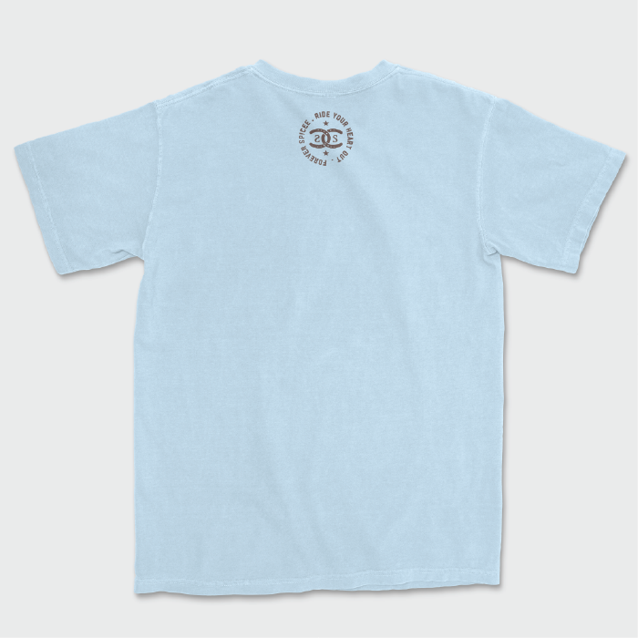Stardust Wrangler | Chambray | Tee Shirt