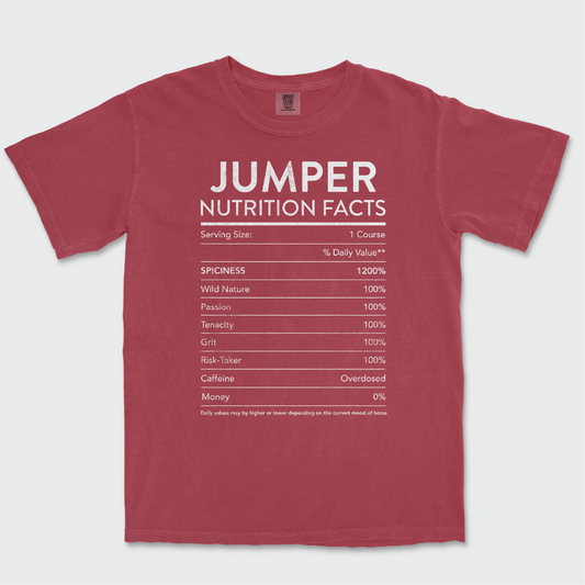 SP!CEE Jumper | Crimson | Tee Shirt