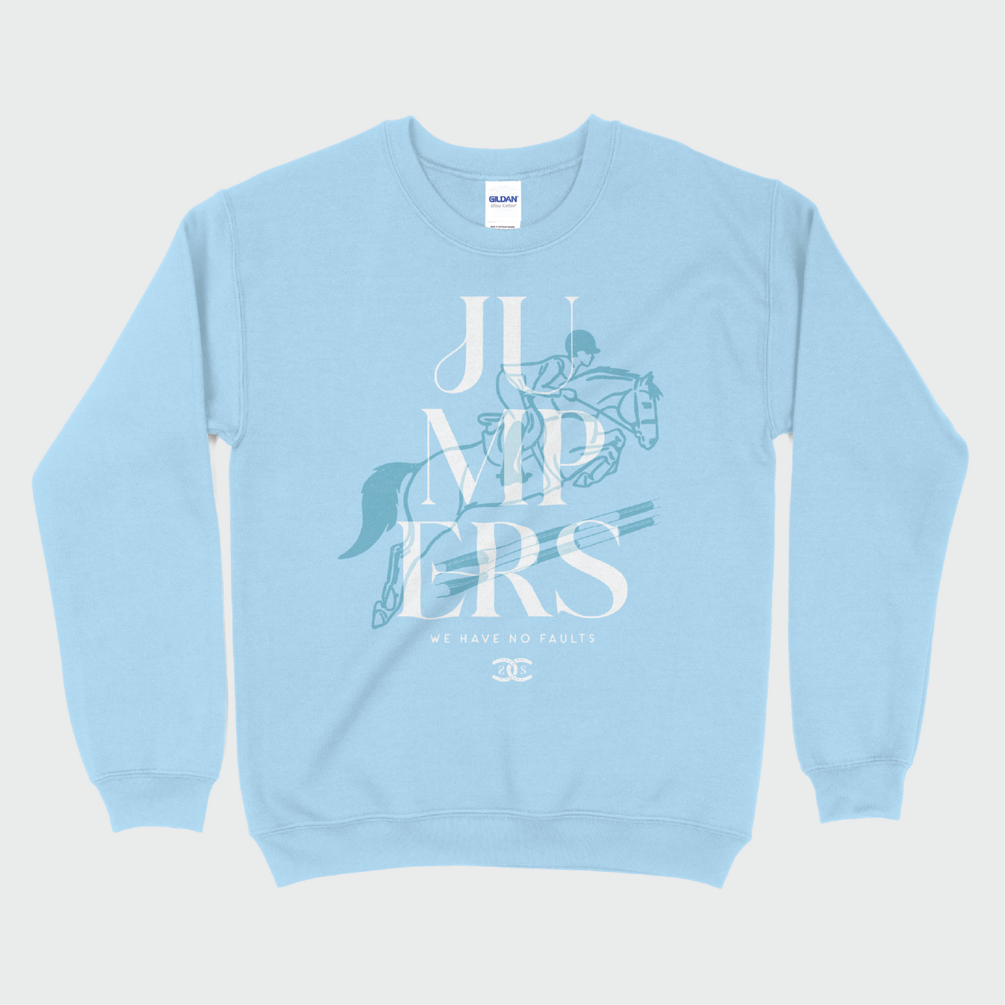 Jumpers | Light Blue | Sweatshirt