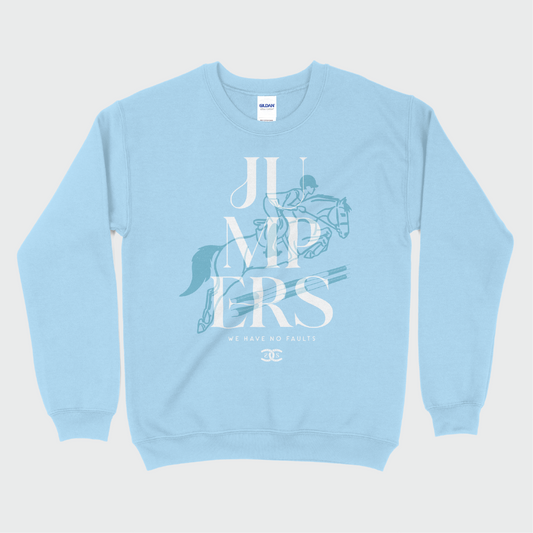 Jumpers | Light Blue | Sweatshirt