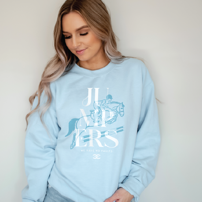Jumpers | Light Blue | Sweatshirt