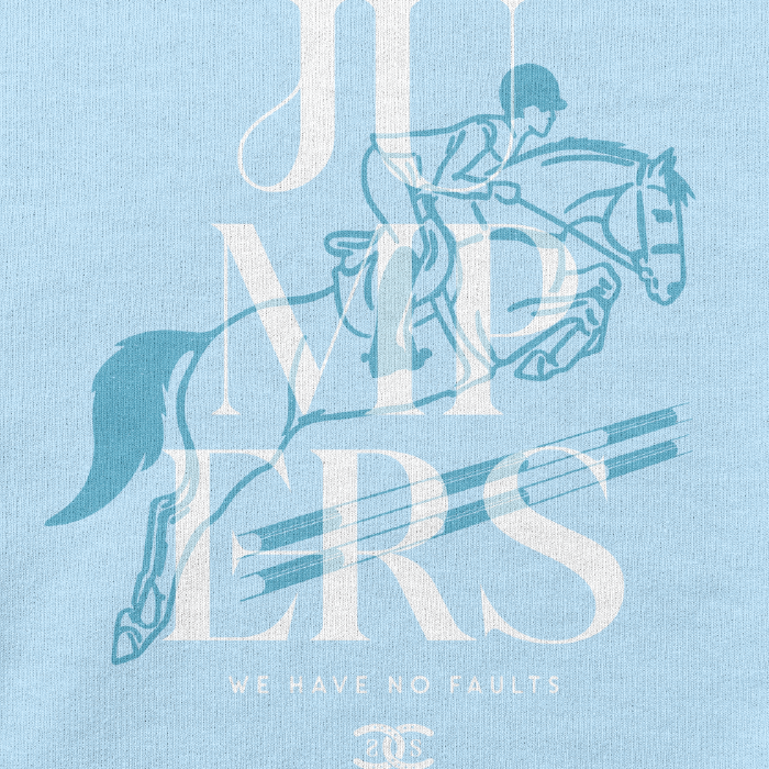 Jumpers | Light Blue | Sweatshirt