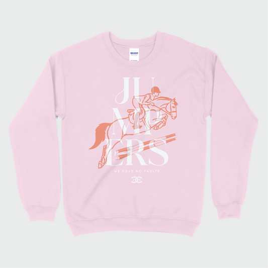 Jumpers | Light Pink | Sweatshirt